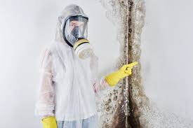 Mold Remediation for Vacation Homes in Great Neck Plaza, NY